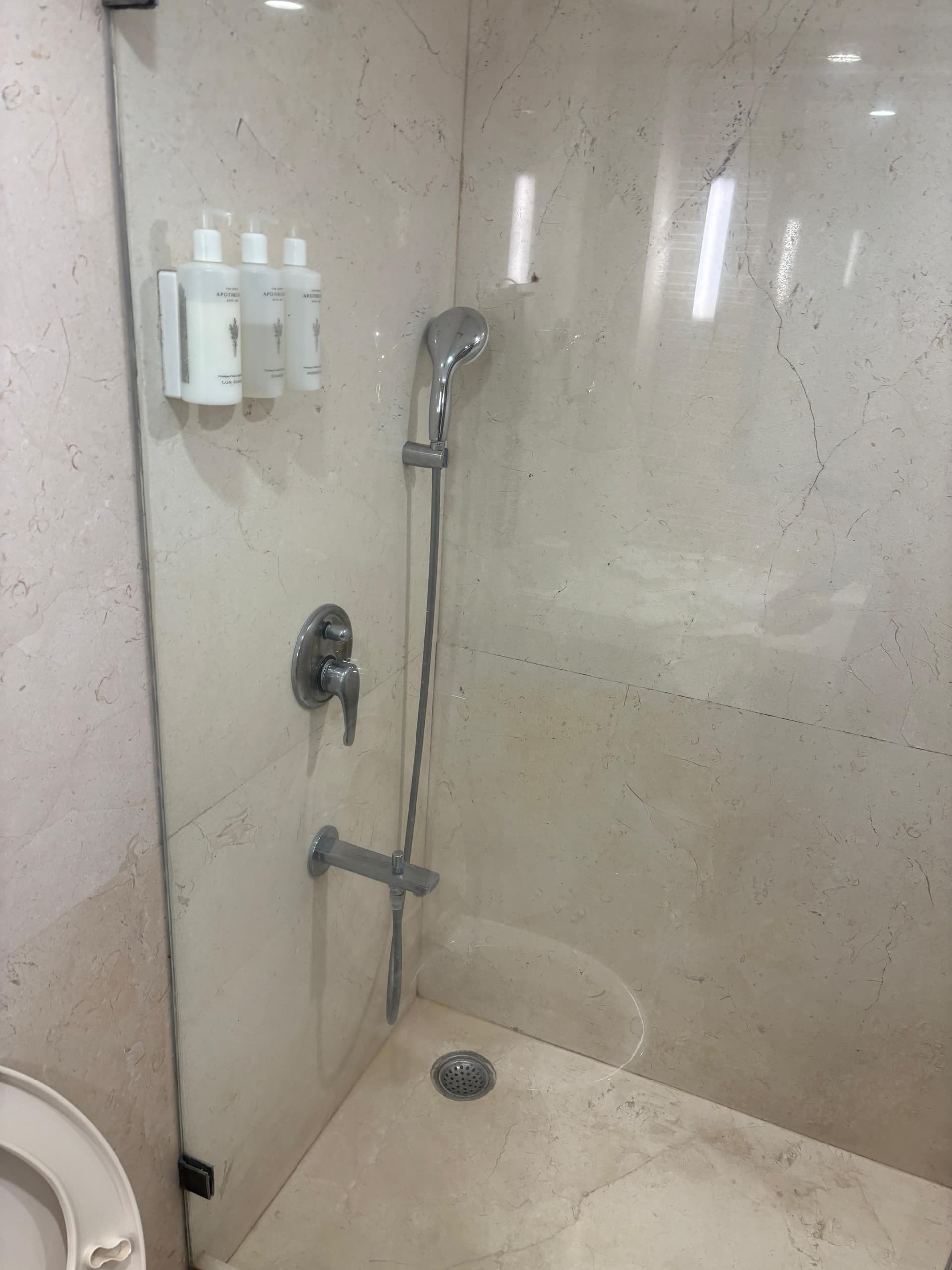 Shower Enclosure — Tempered Glass with Handle